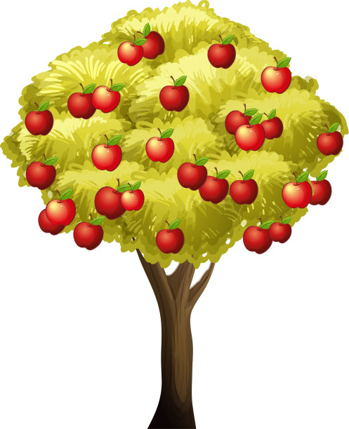 苹果树被隔离在白色背景上图片下载