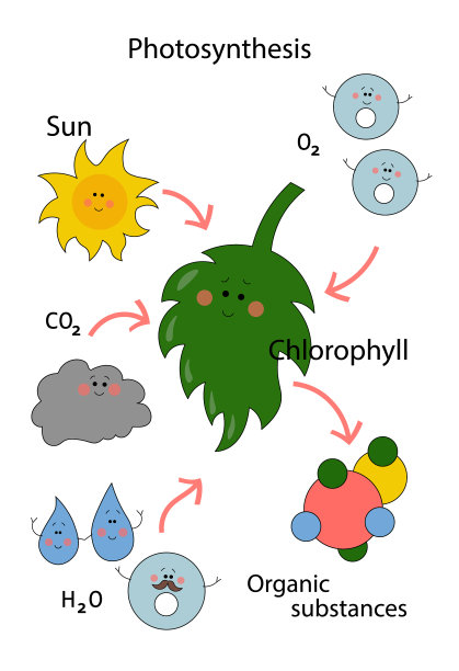 绿色漫画计划植物的光合作用图片下载