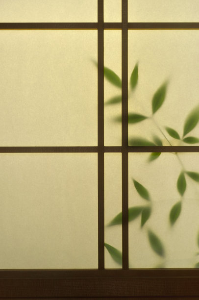 日本Shoji门与绿叶图片下载