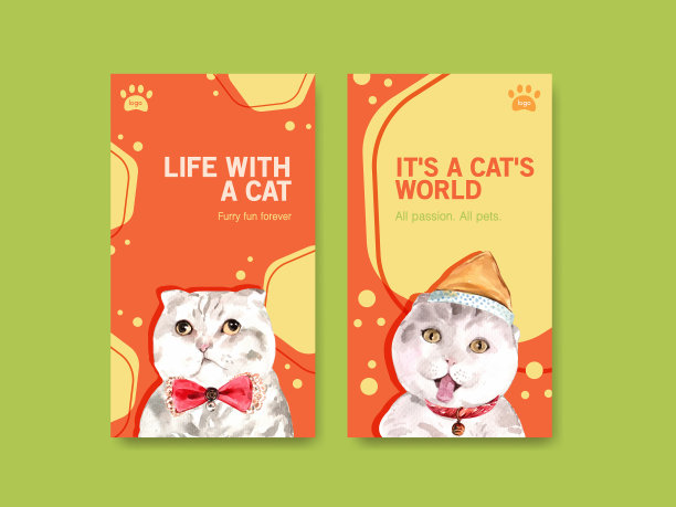 Instagram的模板设计与可爱的猫图片下载