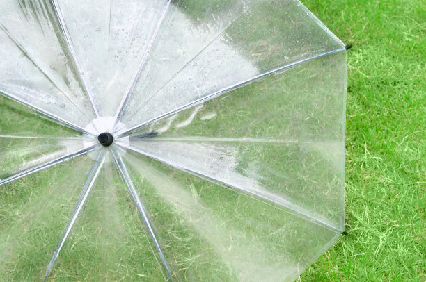 在草坪上打开塑料伞图片下载