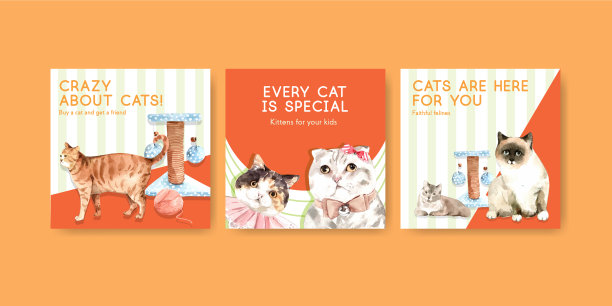 广告模板设计与猫为传单图片下载