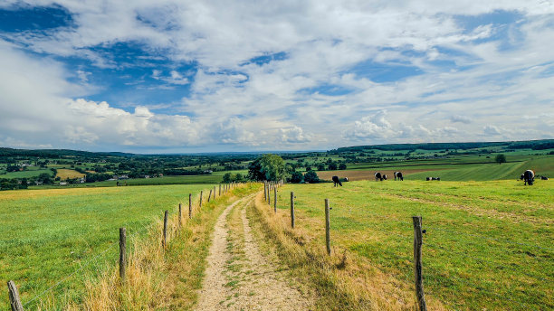 林堡省“小瑞士”荷兰草地的广角镜头图片下载