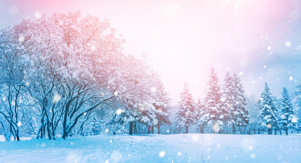 美丽的早晨冬季风景与白雪覆盖的公园。图片下载