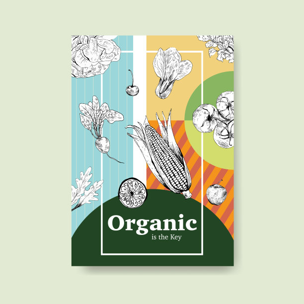 海报模板与素食概念设计图片下载