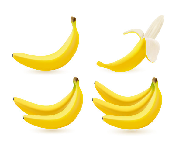 现实的香蕉集孤立在白色的背景图片下载