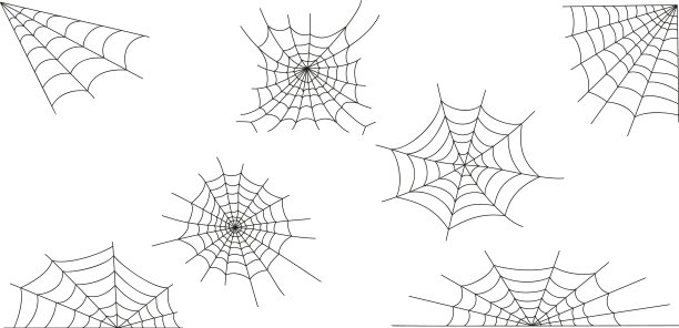 蜘蛛网集孤立于白色背景的蜘蛛图片下载