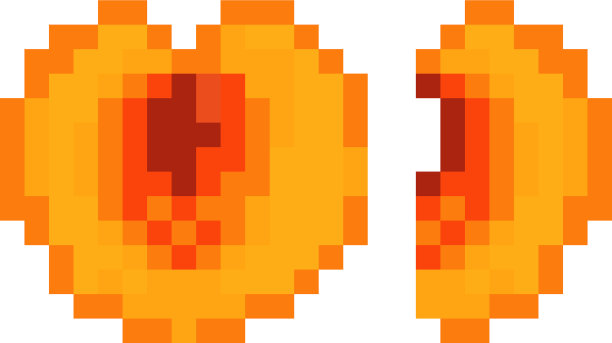 杏核果片孤立在白色上图片下载