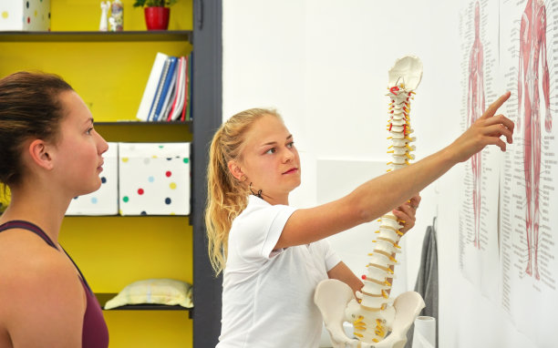 年轻女患者在理疗咨询时，理疗师讲解人体背部骨骼肌肉图，手持脊柱模型图片下载