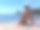 一个人坐在岸边看着大海。风景、森林、大海、游艇、蓝天。图片下载
