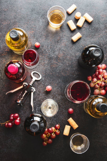 品酒集有各种各样的葡萄酒，自上而下的观点图片下载