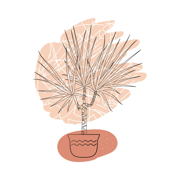 线条艺术黑色热带盆栽室内植物龙图片下载