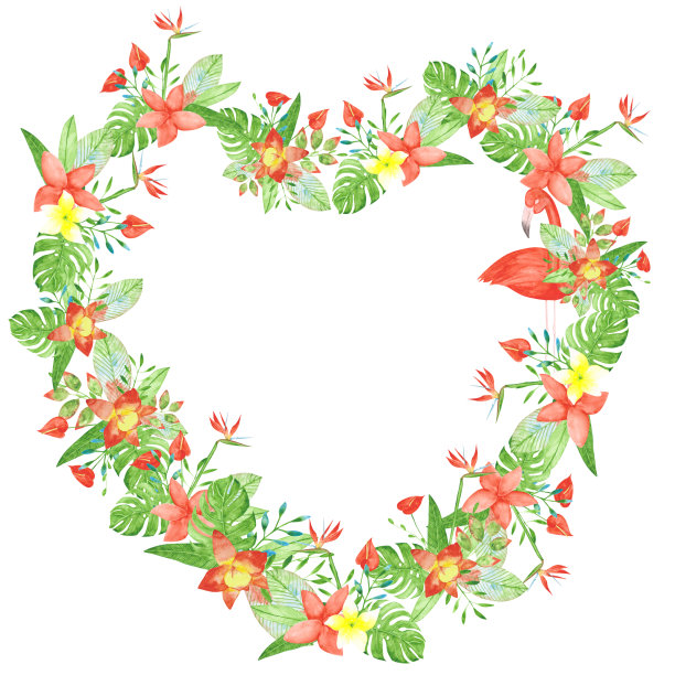异国情调的花框架在白色背景上听到的形状。热带浪漫的模板。极乐鸟，锦葵，兰花，怪物，火烈鸟架。水彩异国情调花环插图。天堂打印图片下载