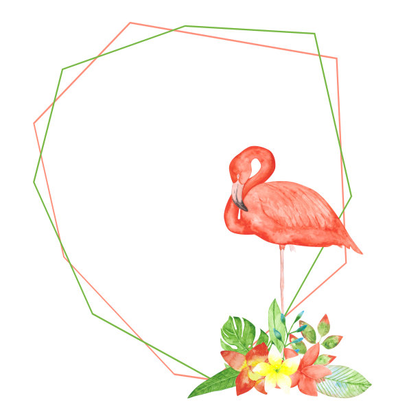 粉红色的火烈鸟和奇异的花朵孤立的框架上的白色背景。热带浪漫模板的婚礼邀请和更多。水彩异国情调花环插图。天堂的花朵。图片下载