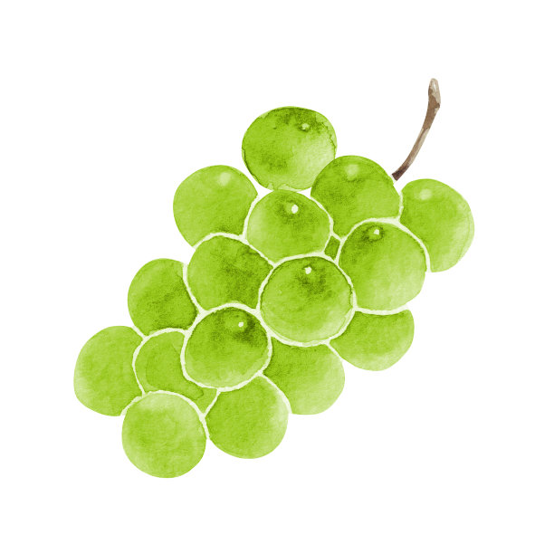 秋天水果马斯喀特图片下载