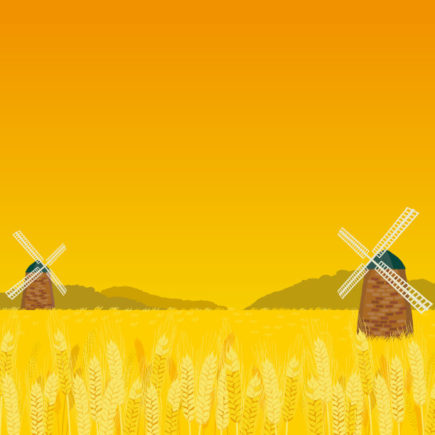 一片成熟的麦田，远处有磨坊。图片下载