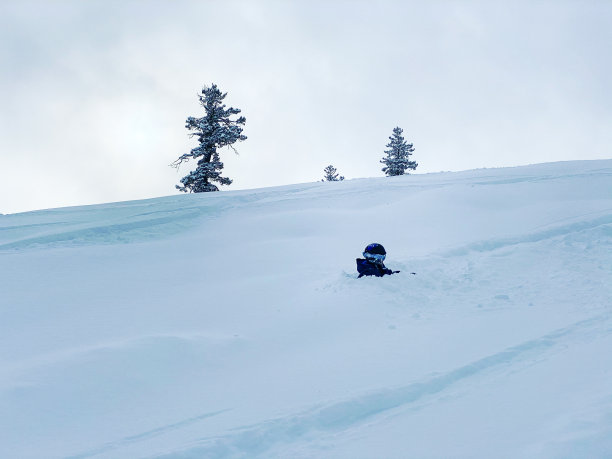 在加利福尼亚的雪地里嬉戏和健康图片下载