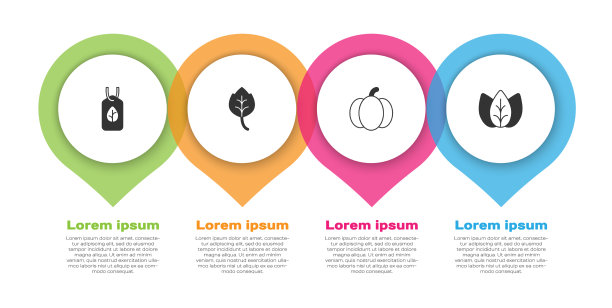 集素食饮食的叶子或南瓜叶和图片下载