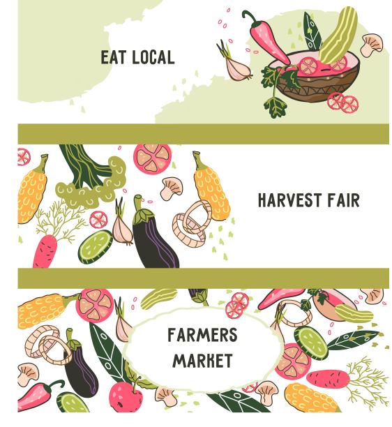 设置旗帜或传单模板的天然产品和农场食品商店，平面矢量。图片下载