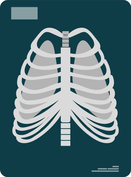 快照肺x光肺图片下载