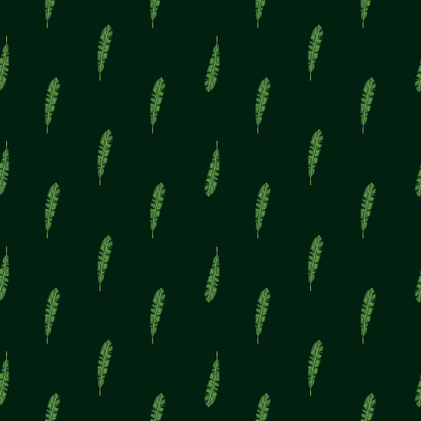 深色无缝抽象自然图案与植物学热带叶元素。黑色背景。绿色点缀。图片下载