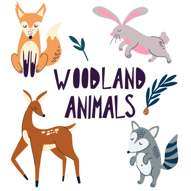 森林的动物。有趣的剪贴画集合。森林野生动物。鹿、狐狸、浣熊、兔子等卡通人物。向量卡通集可爱的森林动物在斯堪的纳维亚风格。图片下载