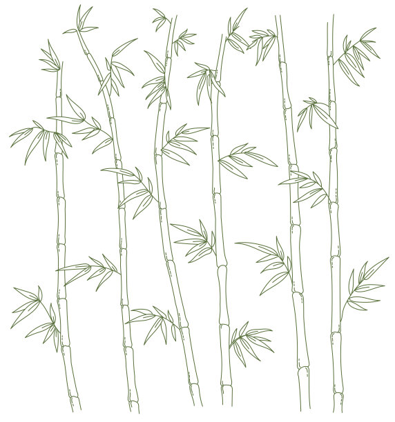 竹林的背景。竹或竹属植物。竹叶和竹杆。矢量插图。开放的路径。可编辑的中风。图片下载