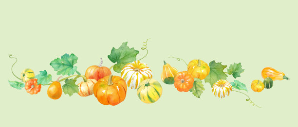 为感恩节和万圣节装饰水彩画插图。色彩鲜艳的玩具南瓜。秋收的形象。图片下载