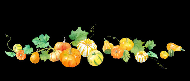 为感恩节和万圣节装饰水彩画插图。色彩鲜艳的玩具南瓜。秋收的形象。图片下载
