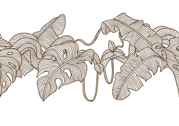 无缝模式与棕榈叶和扭曲的野生藤本植物枝。丛林藤蔓植物。装饰热带雨林树叶。图片下载