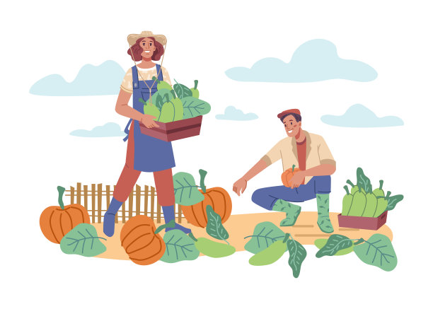 农民从地里采集南瓜和南瓜。农场里的男人和女人，农民们拿着篮子收割庄稼，在自家花园里照料庄稼和土壤。卡通人物在平面风格矢量图片下载