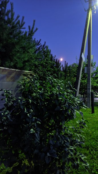 夜晚的月光图片下载