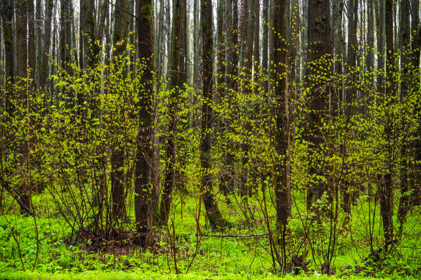 草原景观与天空图片下载