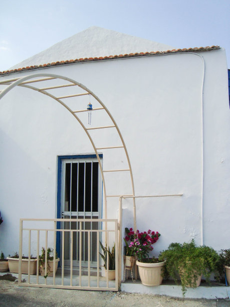 在舒适的庭院和城市街道上种植的花盆图片下载