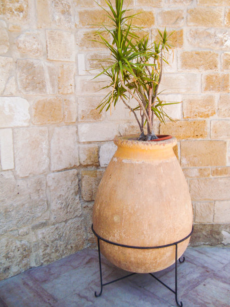 在舒适的庭院和城市街道上种植的花盆图片下载