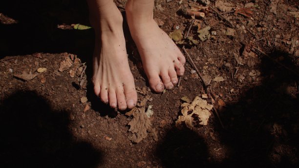 孩子光着脚踩在森林里的地面上。自然按摩肌肤足部。图片下载