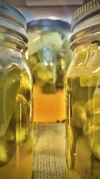 自制腌辣椒/红辣椒，padròns，意大利胡椒，绿铃铛，jalapeños图片下载