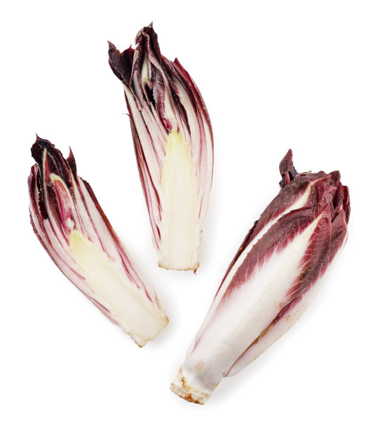 红色菊苣整体和一半，白色背景，孤立。俯视图图片下载