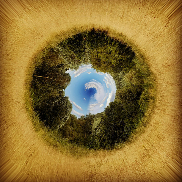 360度谷物收获的场景，麦田，树林和蓝天图片下载