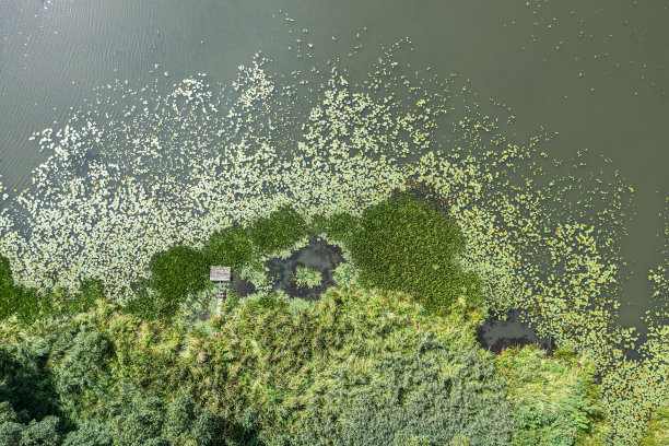 鸟瞰郁郁葱葱的湿地。乡间蜿蜒的小河。空中俯视图。图片下载