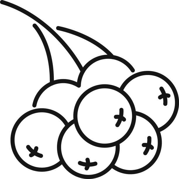 花楸树枝浆果图标轮廓风格图片下载