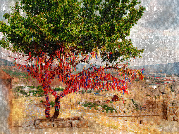 神圣之树寄托着老睿的愿望和梦想图片下载