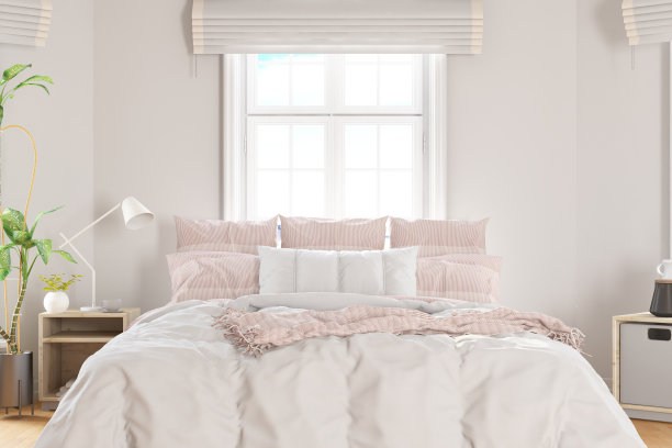 斯堪的纳维亚风格阁楼空卧室室内图片下载