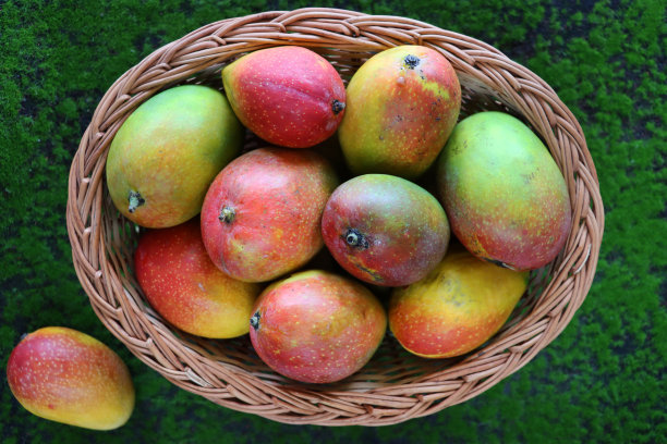 特写图片:一个装满热带芒果的柳条篮子，旁边是一个落在绿色草地背景上的芒果水果，高架视野图片下载