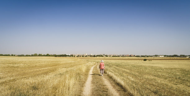 卡斯蒂利亚农田之间的土路。图片下载