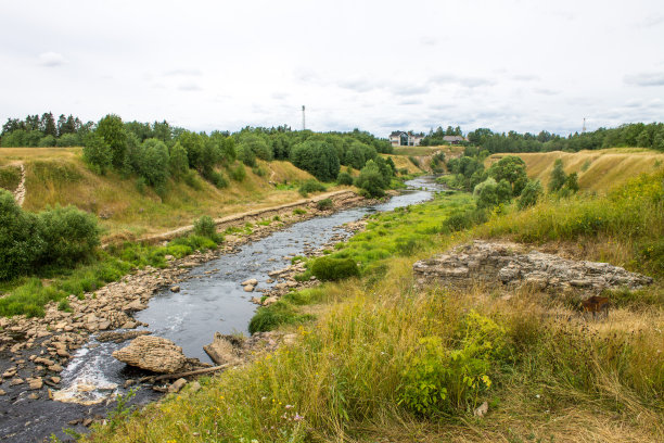 托斯纳河在列宁格勒地区，有丘陵河岸和绿色的草地图片下载