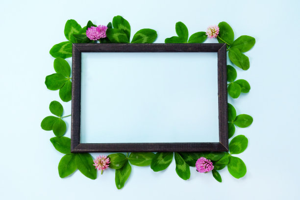 黑色纸框复制空间。平铺，蓝色背景。与苜蓿的花瓣图片下载