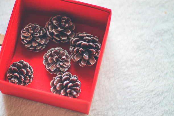 红色盒子里的橡子图片下载