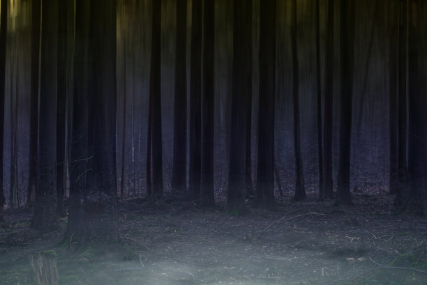 故意模糊森林与直树和蓝色背景照明昏暗雾霭前景，概念照片图片下载