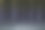 故意模糊森林与直树和蓝色背景照明昏暗雾霭前景，概念照片图片下载